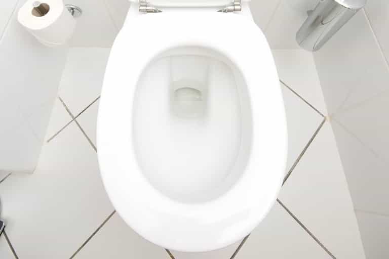 Woman Goes To Hospital After Snake Bites Her Bum Whilst On Toilet Woman Goes To Hospital After Snake Bites Her Bum Whilst On Toilet