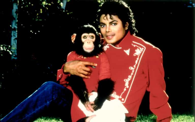 Michael Jackson Believed his Chimp Bubbles was a Great Judge of Character Michael Jackson Believed his Chimp Bubbles was a Great Judge of Character