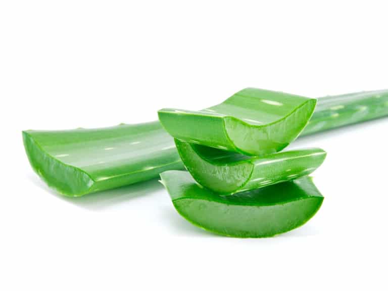 The Coolest Plant Around: Five Ways To Use Aloe Vera To Your Benefit The Coolest Plant Around: Five Ways To Use Aloe Vera To Your Benefit