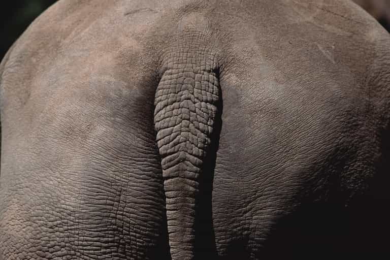 Junk in The Trunk: Is Your Desk Job Making Your Backside Bigger? It Could Be…
