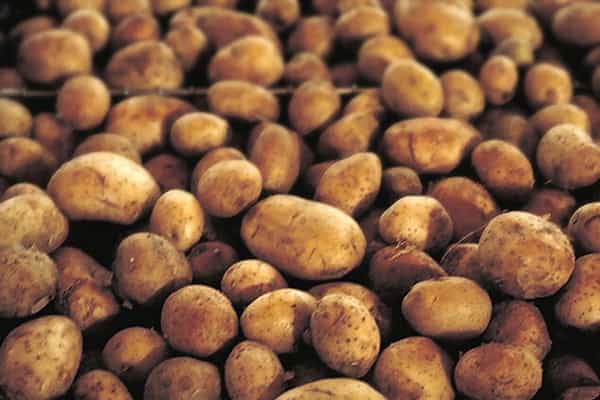 Food High Five – Five Reasons Potatoes Are Good For You
