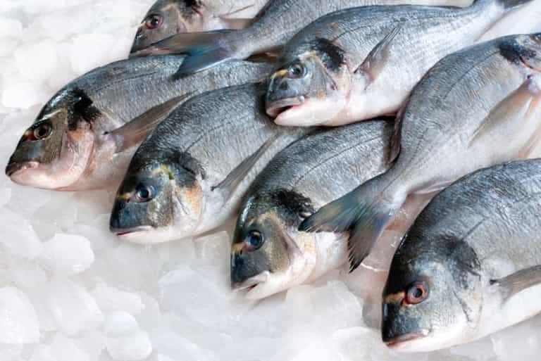Eating Two Servings of Fish Per Week During Pregnancy Lowers ADHD Risk in Newborns Eating Two Servings of Fish Per Week During Pregnancy Lowers ADHD Risk in Newborns