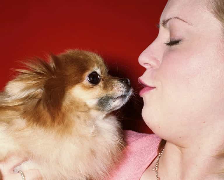 Step Away From The Pooch: A Canine Cuddle Can Expose You To A Lot More Than Just Dog Breath