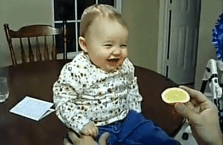 Video: These Adventurous Babies Are Left Sour-Faced after Tasting Their First Lemon Video: These Adventurous Babies Are Left Sour-Faced after Tasting Their First Lemon