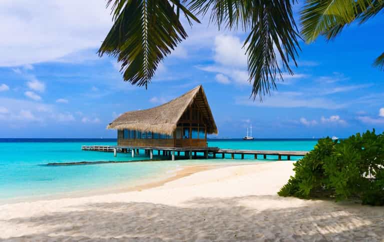 Honeymoon Paradise Turned Hell: Irish Couple Fled Resort After Three Days Honeymoon Paradise Turned Hell: Irish Couple Fled Resort After Three Days
