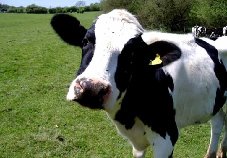PICTURE: Quite Possibly The Funniest And Most Irish Text Message You’ll See This Week