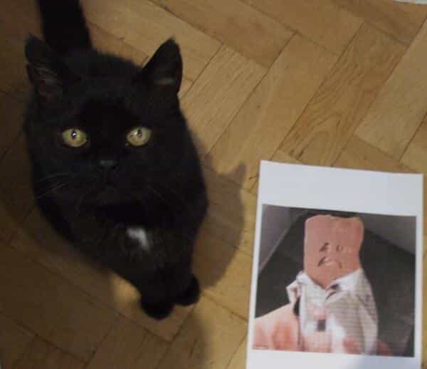 Tears, Dread and Anguish: Why is This Adorable Cat so Sad?