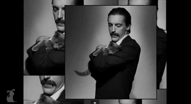 “I’m the Cat Man!”: Music Parody of Scatman Featuring Furry Felines