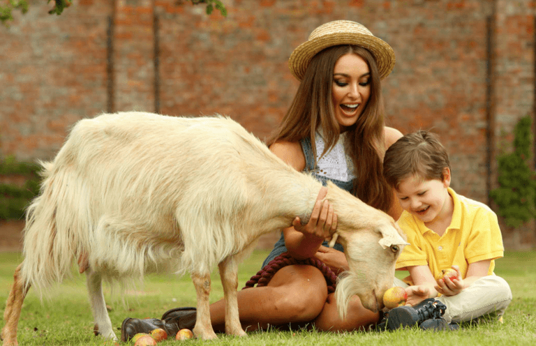 Bake Offs, Delicious Dishes and the Best Groomed Cow: The Flavours of Fingal County Show is Back!