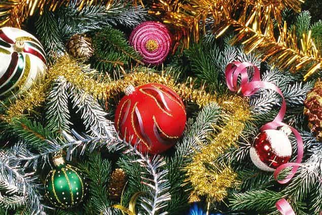 PICTURE – We Shall Have Christmas! These Limerick Students Were Determined To Have A Christmas Tree
