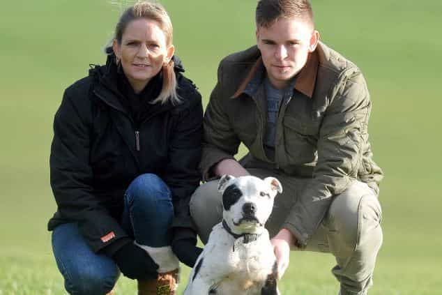 Family’s Missing Dog Returns Home After Disappearing… 10 Years Ago
