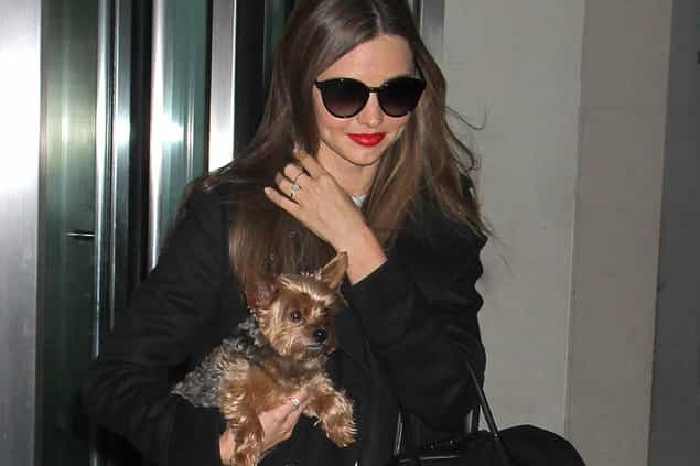 GALLERY – “It’s Just Me And My Dog…” Sixteen Celebrities And Their Pets
