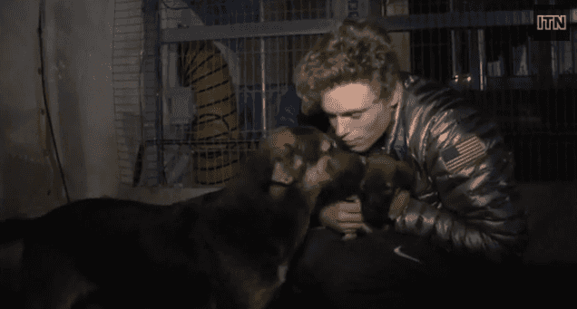 VIDEO – US Olympic Athlete Tries To Adopt Adorable Stray Dogs From Sochi