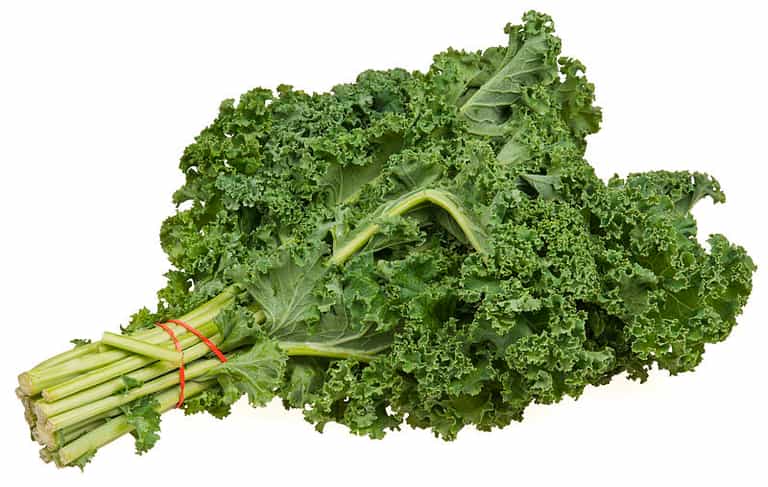 Food For Thought: A Short History of Kale Food For Thought: A Short History of Kale