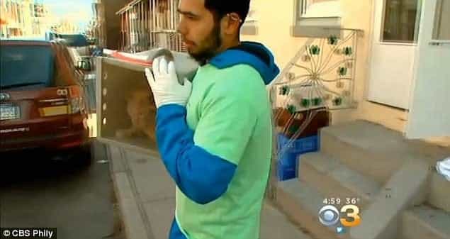 “Crazy Cat Lady” In Pennsylvania Had 260 Cats In Her Home “Crazy Cat Lady” In Pennsylvania Had 260 Cats In Her Home