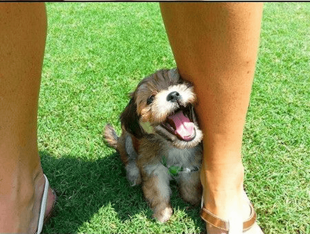 Some Of The Many Reasons You Should Be Super Happy Right Now Some Of The Many Reasons You Should Be Super Happy Right Now