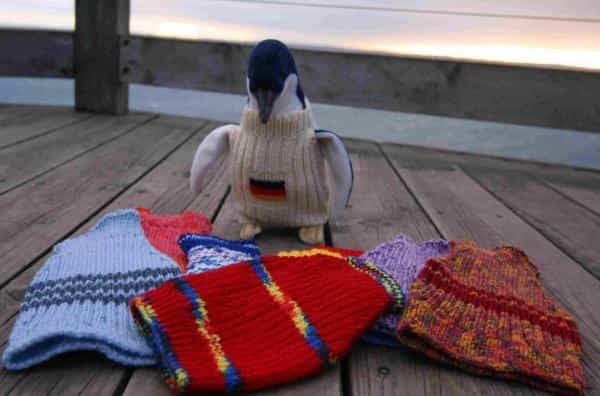 WANTED! Volunteers To Knit Little Jumpers For Poorly Penguins