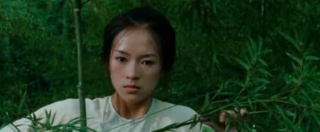 Crouching Tiger, Hidden Dragon Prequel in the Works Crouching Tiger, Hidden Dragon Prequel in the Works