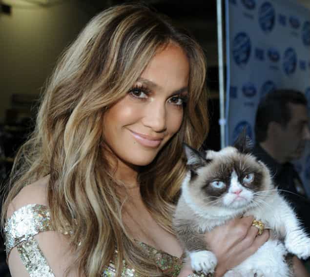 Why The Long Face? You Won’t Believe How Much Grumpy Cat Made Her Owner Last Year…