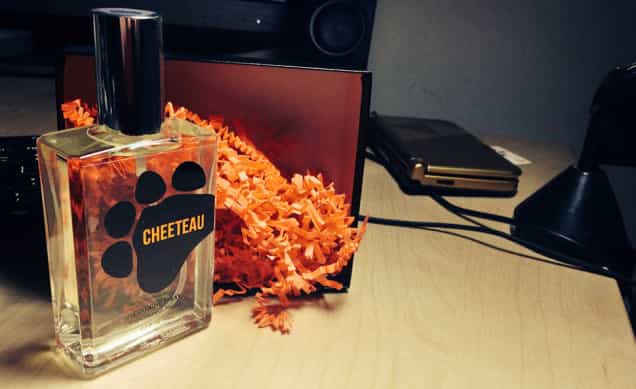 Frito Lay Has Created A Cheetos Perfume Called “Cheeteau” – We Hope You Never Have To Smell It Frito Lay Has Created A Cheetos Perfume Called “Cheeteau” – We Hope You Never Have To Smell It