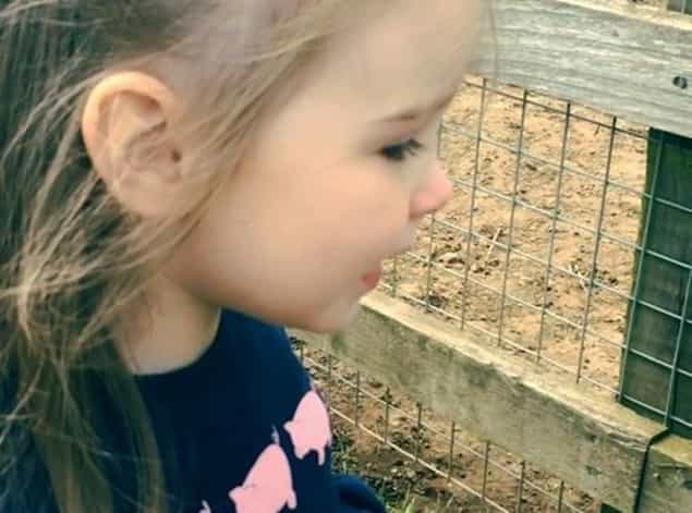 “This Little Piggy” – Aoife Belle Appears To Have Found Her Favourite Animal “This Little Piggy” – Aoife Belle Appears To Have Found Her Favourite Animal