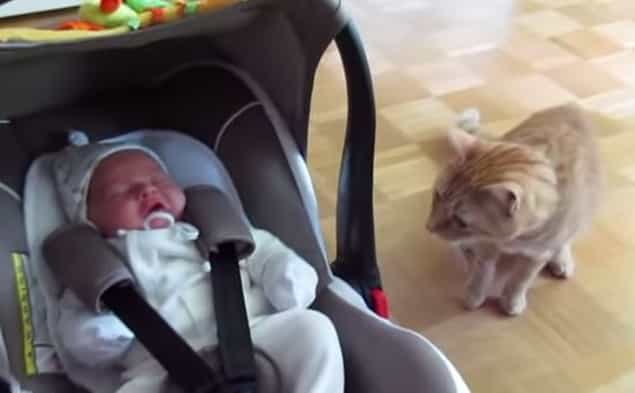 That’s Gas: The Funniest Video We’ve Seen This Week