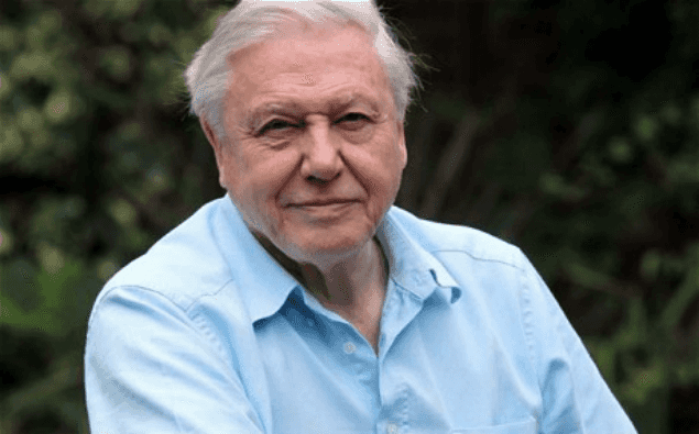We Weren’t Expecting This… David Attenborough To Lend His Voice To UK Pop Album Next Year We Weren’t Expecting This… David Attenborough To Lend His Voice To UK Pop Album Next Year