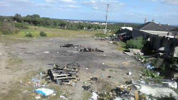 Animal Charity Launches Investigation After Galway Teens Set Baby Foal Alight In ‘Barbaric’ Killing