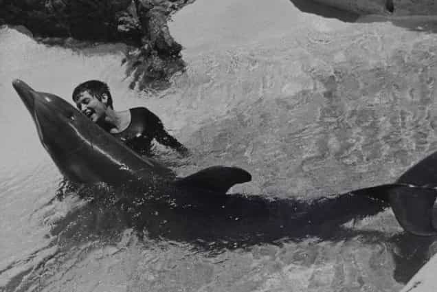 Researcher Speaks Out About Her Sexual Experiences With A Dolphin Researcher Speaks Out About Her Sexual Experiences With A Dolphin