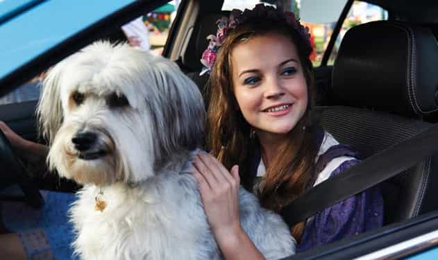 REVIEW – Pudsey The Movie, Films Like This Just Shouldn’t Exist