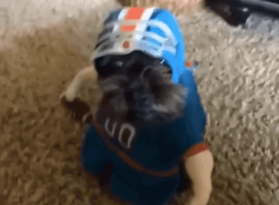 Best Vines: One Hilarious Twitter Account That Is Definitely Worth A Follow