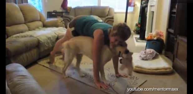 Happy Tuesday! This Compilation Of Animals Interrupting Their Owner’s Yoga Sessions Should Make Your Day Happy Tuesday! This Compilation Of Animals Interrupting Their Owner’s Yoga Sessions Should Make Your Day