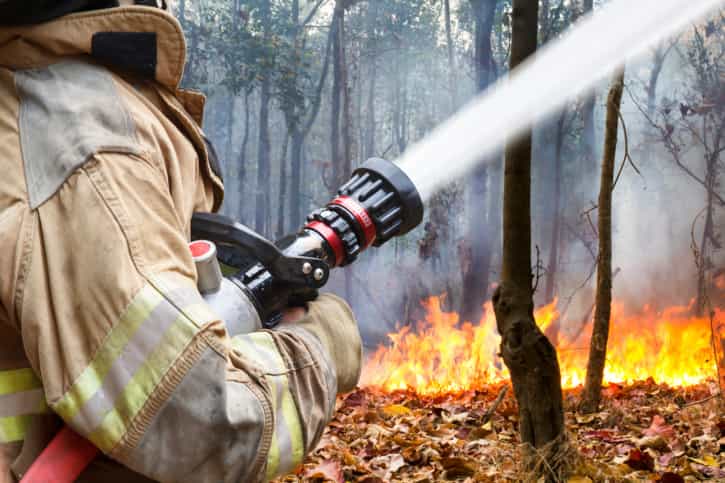 Come On Baby Like My Fire… Woman Starts Wildfire To Give Firefighter Pals Something To Do Come On Baby Like My Fire… Woman Starts Wildfire To Give Firefighter Pals Something To Do