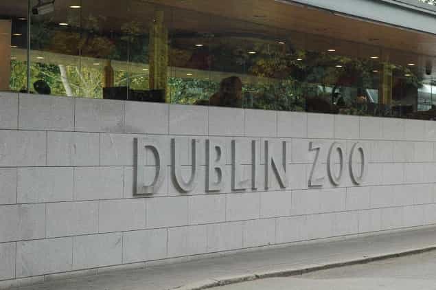 This Weekend You… Should Go To The Zoo