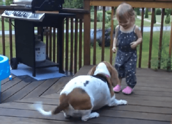 WATCH: This Toddler Is Having Too Much Craic Playing With Her Rescued Puppy WATCH: This Toddler Is Having Too Much Craic Playing With Her Rescued Puppy