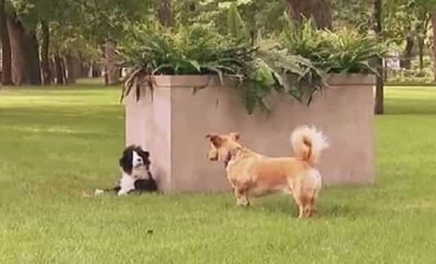 That’s Gas: The Funniest Video We’ve Seen This Week That’s Gas: The Funniest Video We’ve Seen This Week