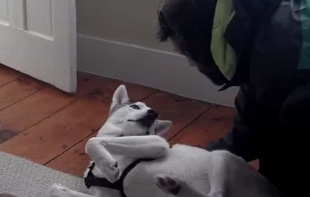 That’s Gas: The Funniest Video We’ve Seen This Week