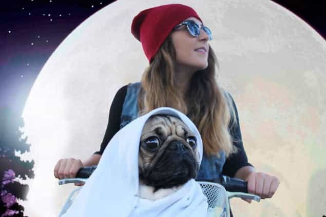 PICS: Doug The Pug Is Making Quite The Statement With His Halloween Costumes PICS: Doug The Pug Is Making Quite The Statement With His Halloween Costumes