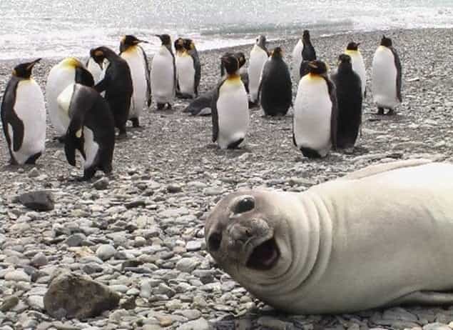 What Do the Words Photobomb, Bridezilla and Hangry Have in Common? They Are All Some of 2014’s Top Words!