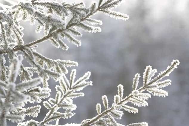 Here We Go Again! Met Éireann Warns Of Snow Showers Overnight Here We Go Again! Met Éireann Warns Of Snow Showers Overnight