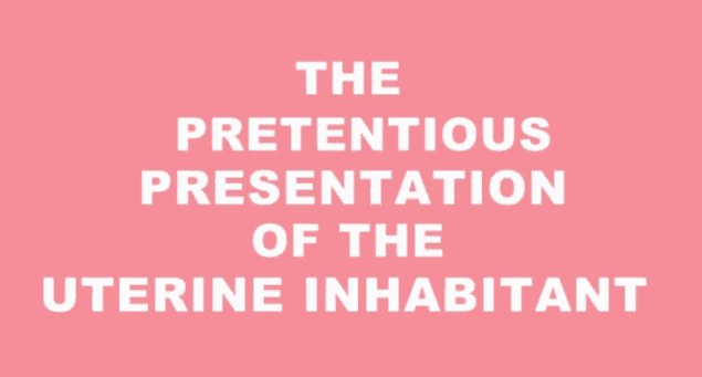 WATCH: Couple Reveal Their Pregnancy With A Little Help From Wes Anderson