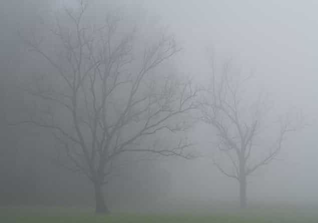 Twitter Reacts To Heavy Fog as Flight Disruptions Continue