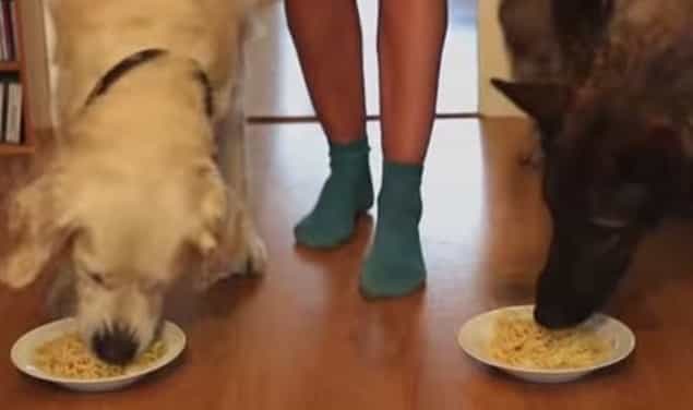 That’s Gas: The Funniest Video We’ve Seen This Week That’s Gas: The Funniest Video We’ve Seen This Week