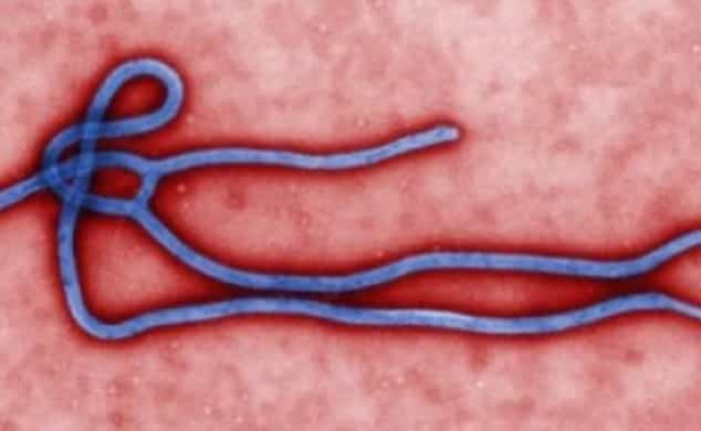 Belfast Hospital Confirms Patient Tested Does Not Have Ebola Virus Belfast Hospital Confirms Patient Tested Does Not Have Ebola Virus