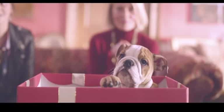 WATCH: The Mulberry Christmas Ad – How Far One Family Goes to Win Christmas WATCH: The Mulberry Christmas Ad – How Far One Family Goes to Win Christmas