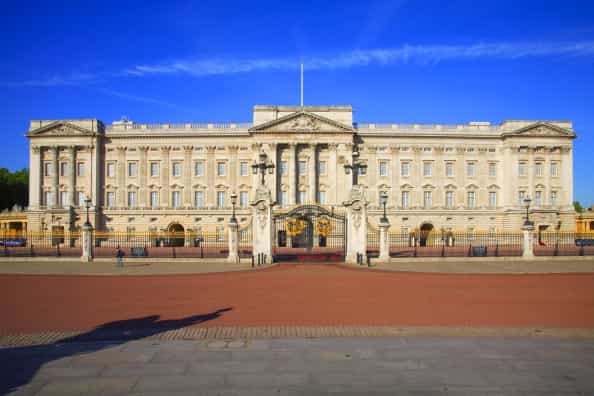 Magic Mushrooms Found in Buckingham Palace Gardens
