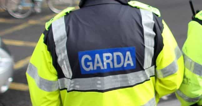 Gardaí appealing for witnesses to attempted abduction in Dublin Gardaí appealing for witnesses to attempted abduction in Dublin