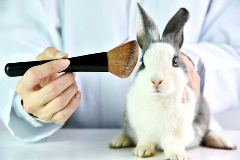 Sale of cosmetics tested on animals banned in California, Nevada, and Illinois
