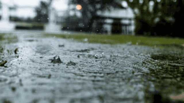 Met Éireann has issued a weather warning for four counties Met Éireann has issued a weather warning for four counties