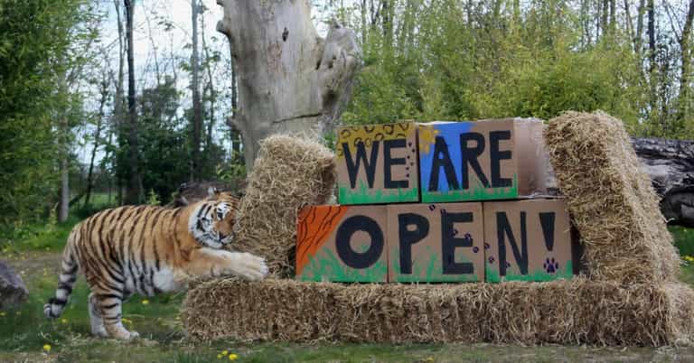 Tayto Park Zoo confirm reopening date this month Tayto Park Zoo confirm reopening date this month